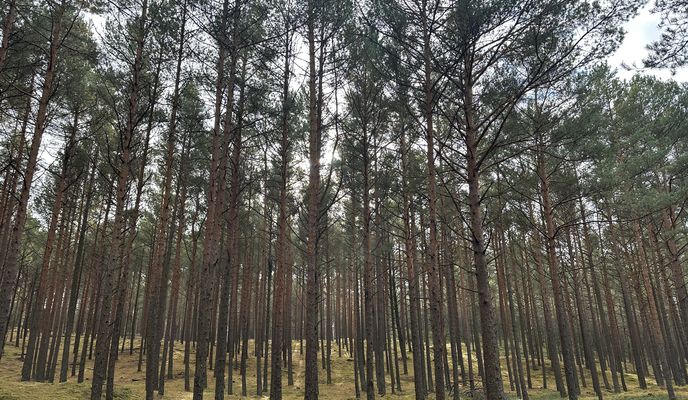 Foto 2 de la ruta de Bikemap "Bałtycka, Lubiatowo do Pałacowa, Sasino"