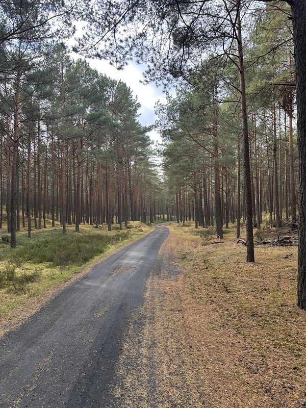 Bałtycka, Lubiatowo do Pałacowa, Sasino