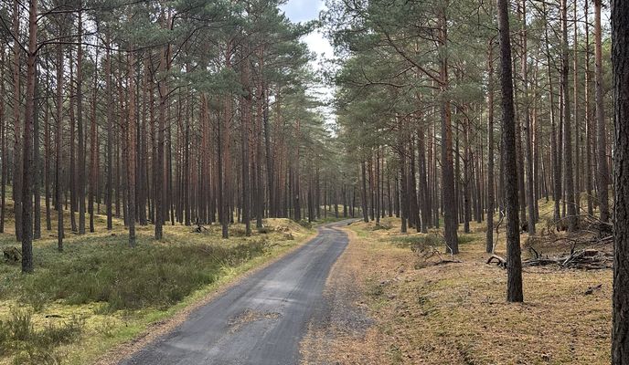 Foto 1 de la ruta de Bikemap "Bałtycka, Lubiatowo do Pałacowa, Sasino"