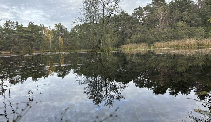Foto 2 de la ruta de Bikemap "Pałacowa, Sasino do Bałtycka, Lubiatowo"