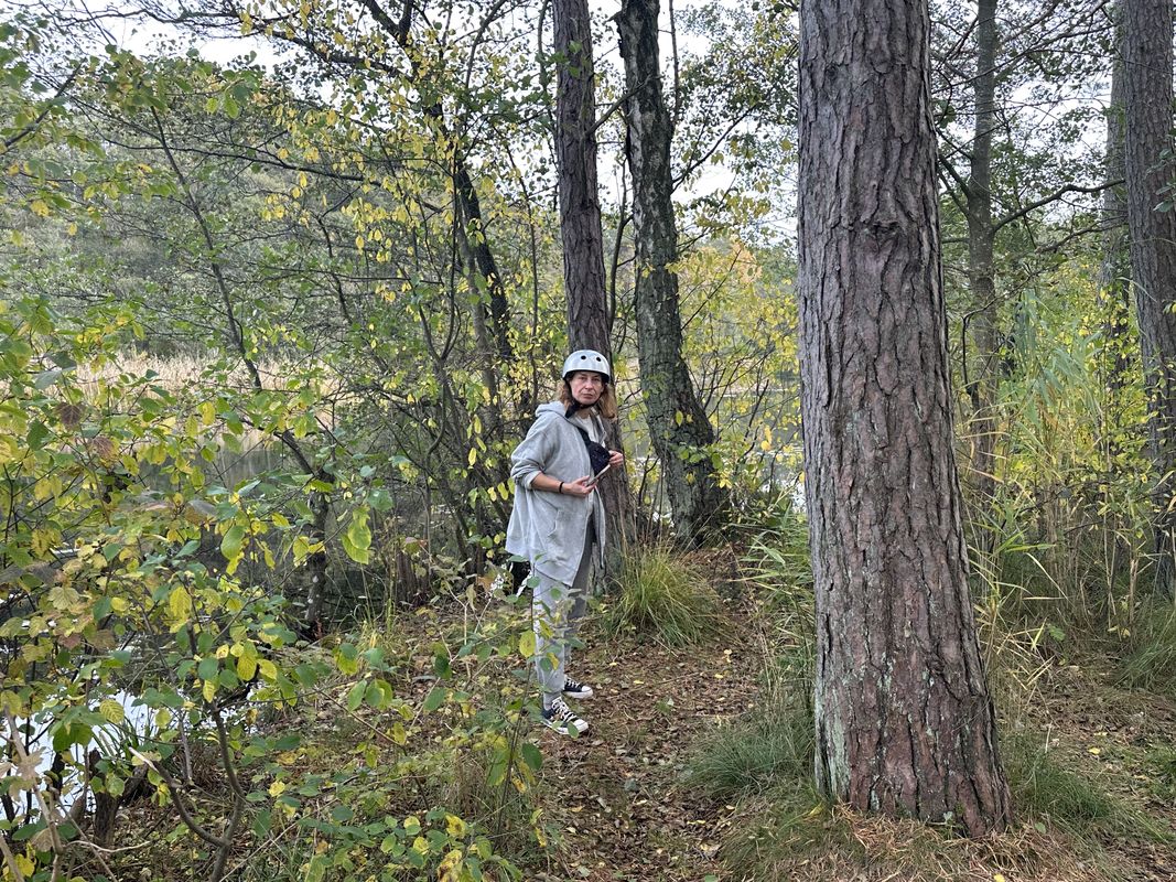 Pałacowa, Sasino do Bałtycka, Lubiatowo