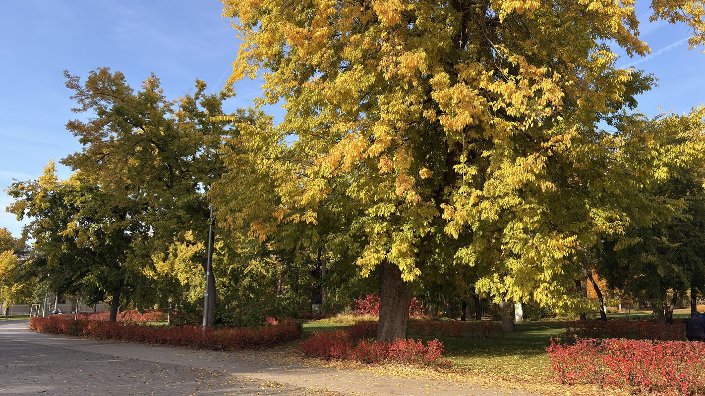 District VIII, Budapest to Ditrói Mór utca, Budapest