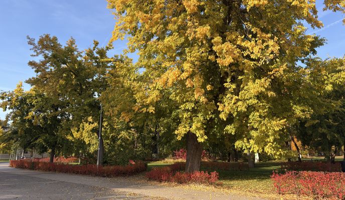 Foto 2 del percorso Bikemap "District VIII, Budapest to Ditrói Mór utca, Budapest"