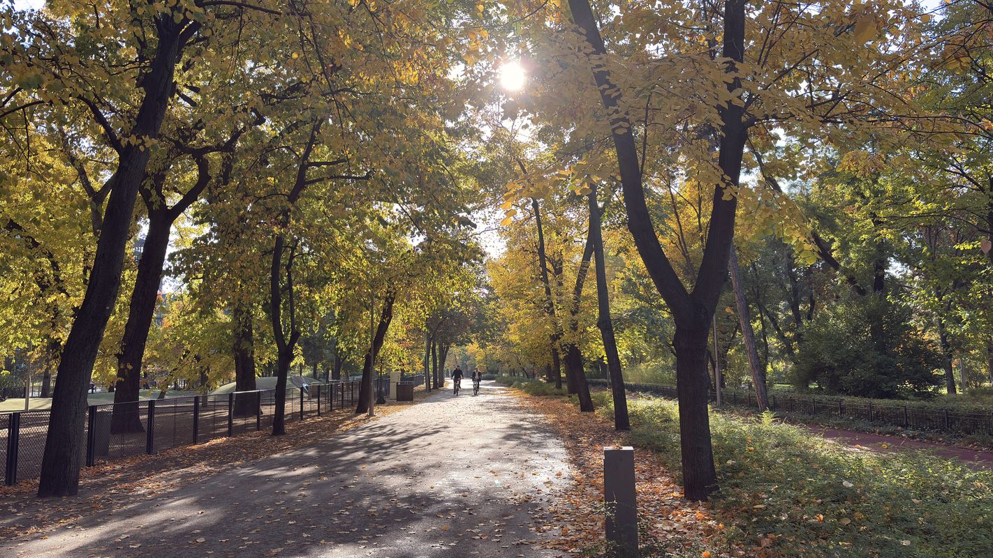 District VIII, Budapest to Ditrói Mór utca, Budapest