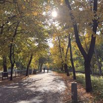 District VIII, Budapest to Ditrói Mór utca, Budapest