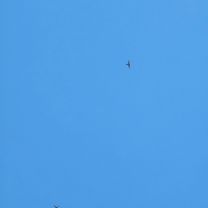 Foto 8 der Bikemap-Route "편안한 경로"