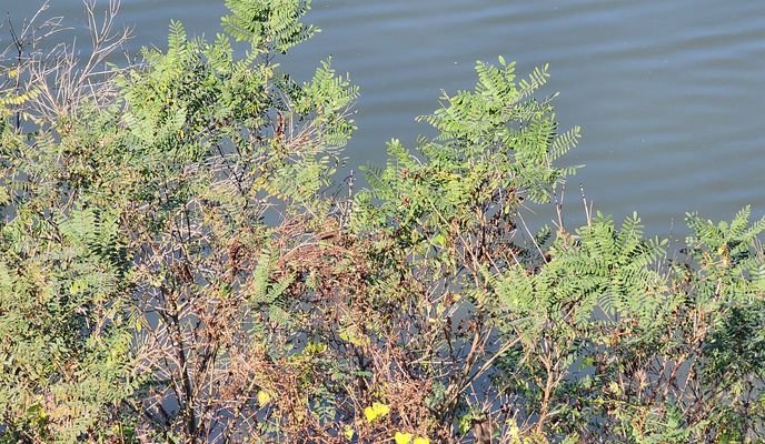 Foto 2 der Bikemap-Route "편안한 경로"