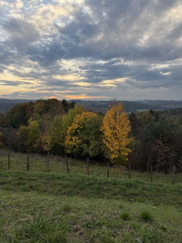 Hauptstraße, Laßnitzhöhe nach Wetterkreuzweg, Eggersdorf