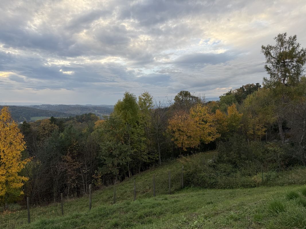 Hauptstraße, Laßnitzhöhe nach Wetterkreuzweg, Eggersdorf