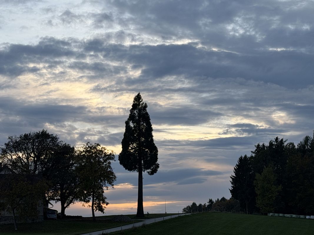 Ehrenbergstraße, Eggersdorf nach Hauptstraße, Laßnitzhöhe