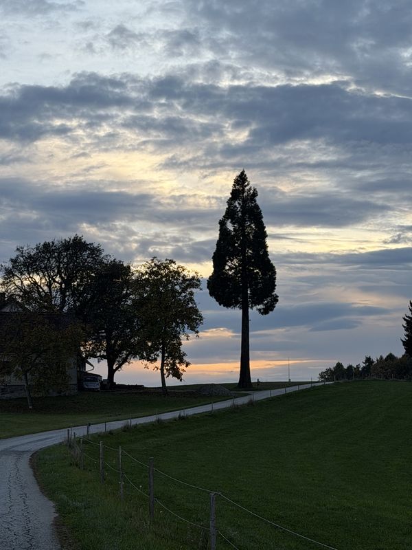Ehrenbergstraße, Eggersdorf nach Hauptstraße, Laßnitzhöhe