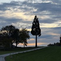 Ehrenbergstraße, Eggersdorf nach Hauptstraße, Laßnitzhöhe
