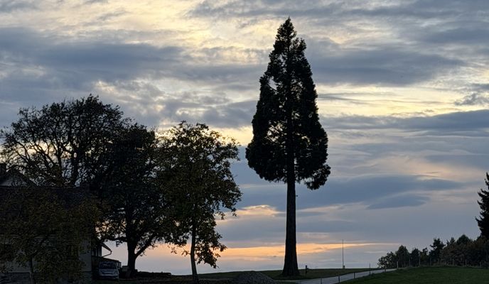 Foto 1 der Bikemap-Route "Ehrenbergstraße, Eggersdorf nach Hauptstraße, Laßnitzhöhe"