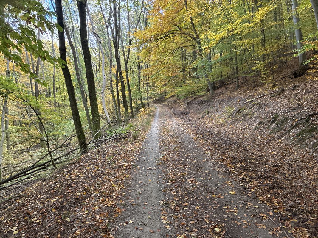 Esztergomi út, Visegrád - Nagymaros-Nógrád, Nagymaros