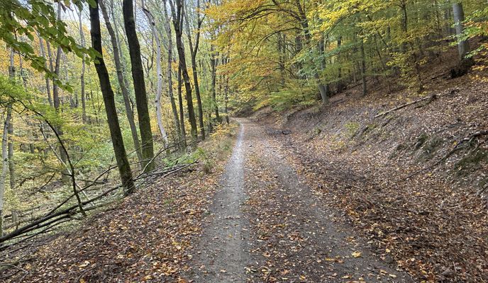 Photo 2 of the Bikemap route "Esztergomi út, Visegrád - Nagymaros-Nógrád, Nagymaros"