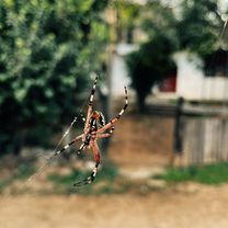 Calle 16 de Septiembre, Barrio Morelos a Calzada Francisco Ignacio Madero, Oaxaca de Juárez