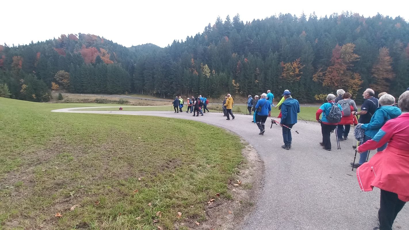 Panholz nach Panholz