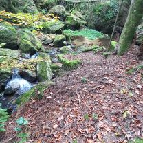 Panholz nach Panholz