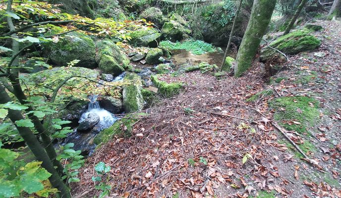 Foto 1 de la ruta de Bikemap "Panholz nach Panholz"