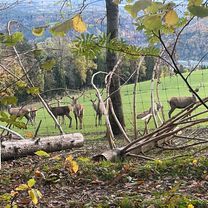 Ins Hügelige von Neunkirchen