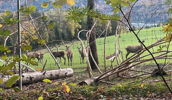 Photo 1 of the Bikemap route "Ins Hügelige von Neunkirchen" Photo 1 of the Bikemap route "Ins Hügelige von Neunkirchen"