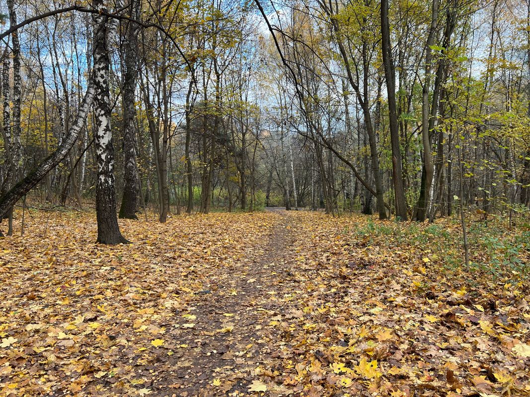 Каталка 63 км