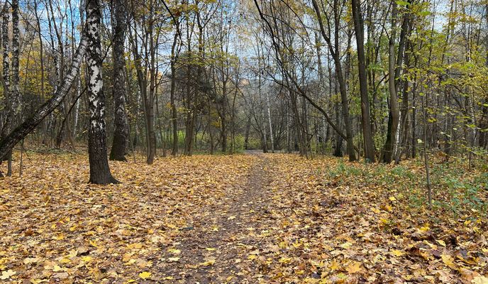 Foto 1 de la ruta de Bikemap "Каталка 63 км"