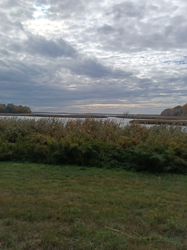 Útvonal innen: Tiszahíd 33-as