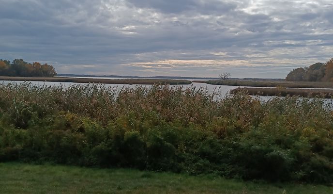 Zdjęcie 1 trasy Bikemap „Útvonal innen: Tiszahíd 33-as”