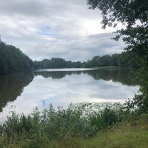 Foto 8 der Bikemap-Route "Kollegentour 2025 Tag1, Mosel-Maare-Radweg" Foto 8 der Bikemap-Route "Kollegentour 2025 Tag1, Mosel-Maare-Radweg"