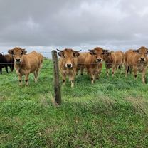 Photo 7 of the Bikemap route "Connac - Circle through Lincou and Réquista"