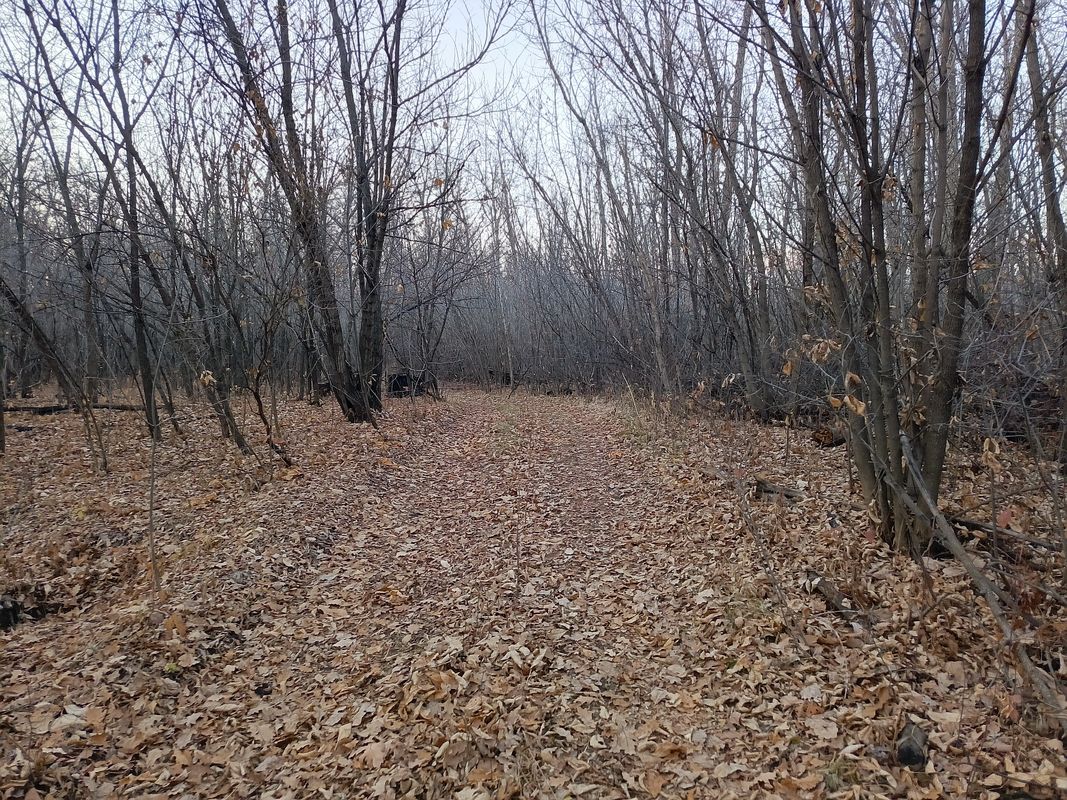 От проспект Гагарина 21/8 до улица Геннадия Донковцева