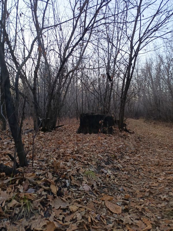 От проспект Гагарина 21/8 до улица Геннадия Донковцева