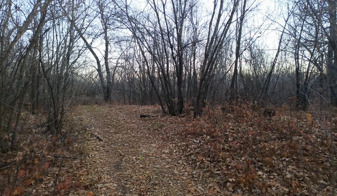 Photo 2 de l’itinéraire Bikemap « От проспект Гагарина 21/8 до улица Геннадия Донковцева »