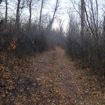 От Ленинская улица до улица Кленовая