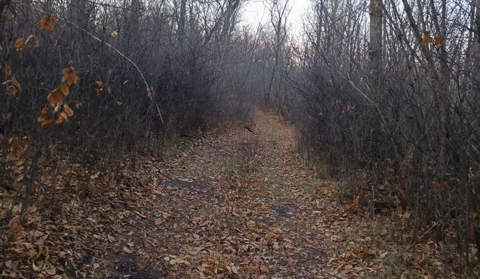 Foto 1 der Bikemap-Route "От Ленинская улица до улица Кленовая"