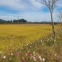 팔용동 81-11 ~ 소답동 114-5