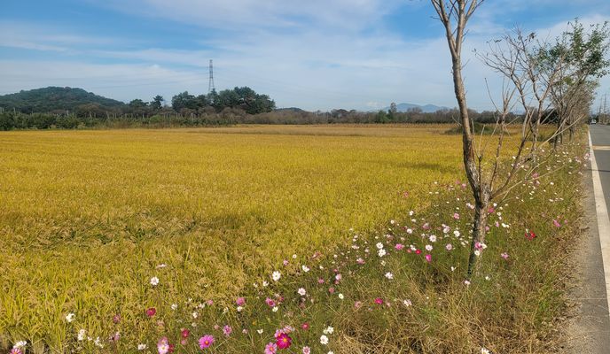 Foto 1 der Bikemap-Route "팔용동 81-11 ~ 소답동 114-5"