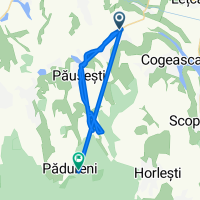 Route from Dumesti
