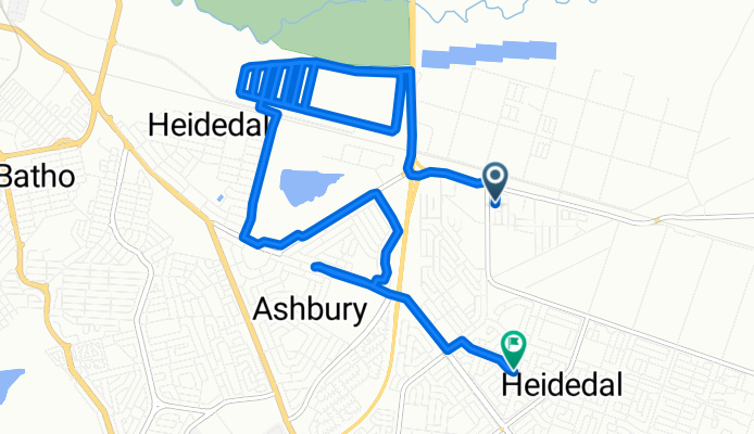 Tropical Pine Street to Bergman square