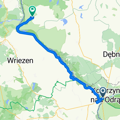 Dzień 4 Od Kostrzyń nad Odrą do Cedyni