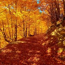 Zdjęcie 8 trasy Bikemap „Florești Dodesti”