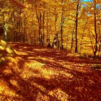 Zdjęcie 7 trasy Bikemap „Florești Dodesti”