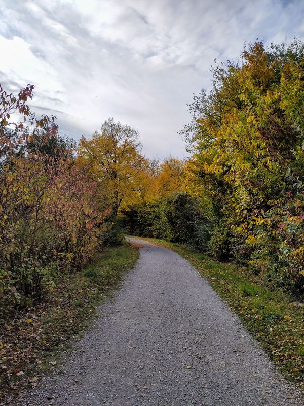 Farben gravel aka Herbst schauen.