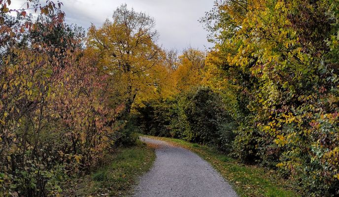 Foto 2 der Bikemap-Route "Farben gravel aka Herbst schauen."