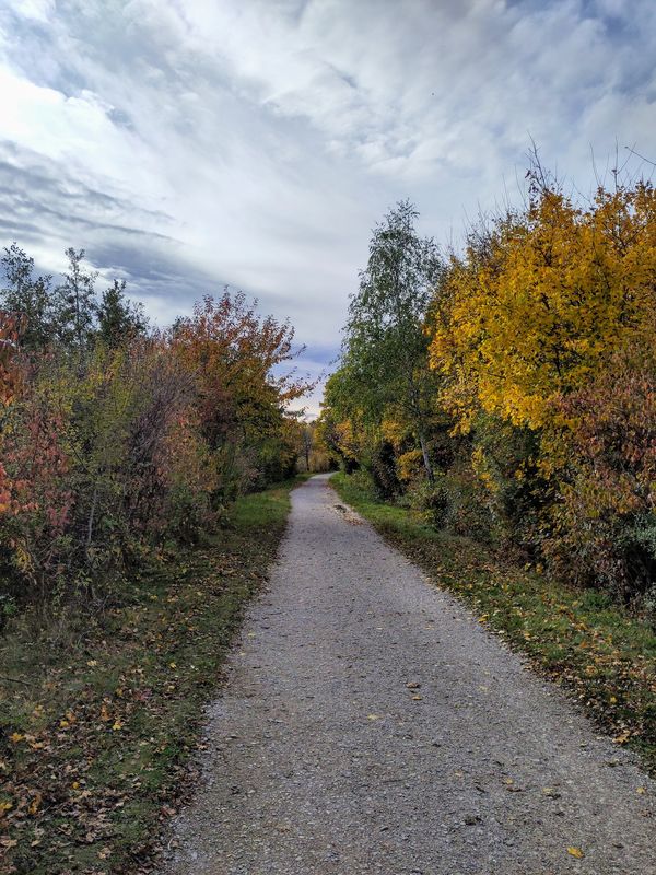 Farben gravel aka Herbst schauen.