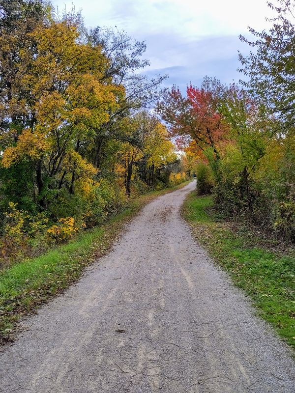 Farben gravel aka Herbst schauen.