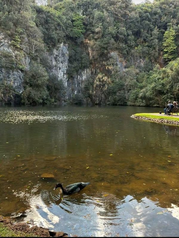 De Rua Denise Maria Carneiro de Oliveira a Rua Victor Benato