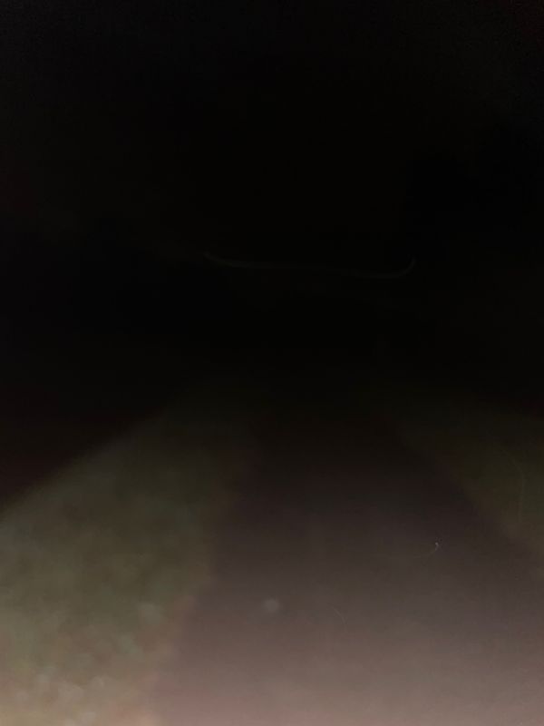 Montigny sur Loing -Melun