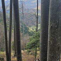 Photo 8 of the Bikemap route "Nyugodt útvonal" Photo 8 of the Bikemap route "Nyugodt útvonal"